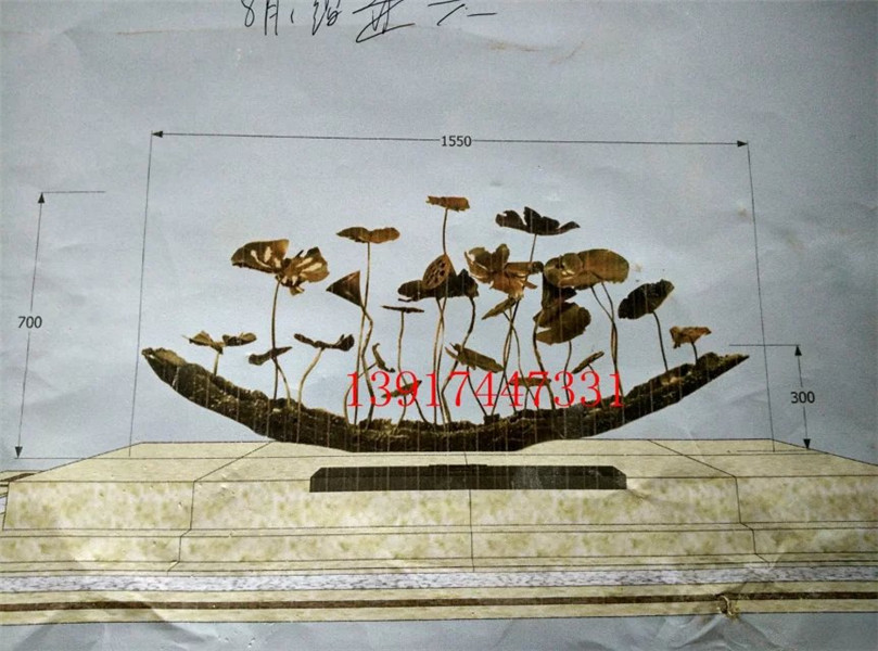 小荷花荷叶